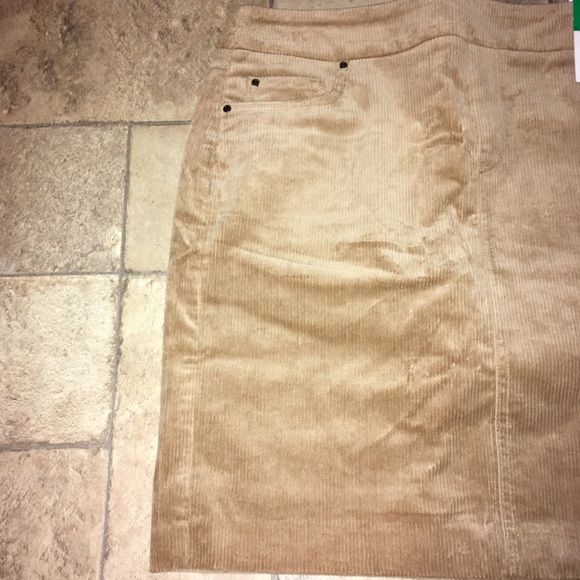 Tan Corduroy Skirt by S.C & CO - Picture 2 of 4